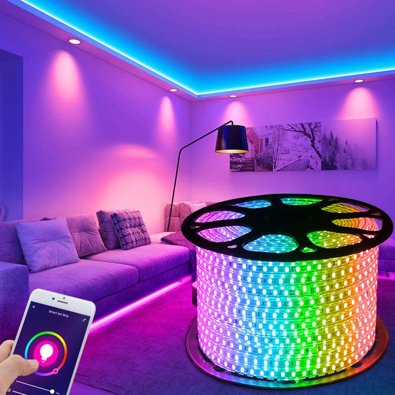 Wholesale110V 220V Color Rgbic Led 100M Roll Smd 5050 120D Decorative Strips Flexible Dmx Dimmable Smart Strip Lights