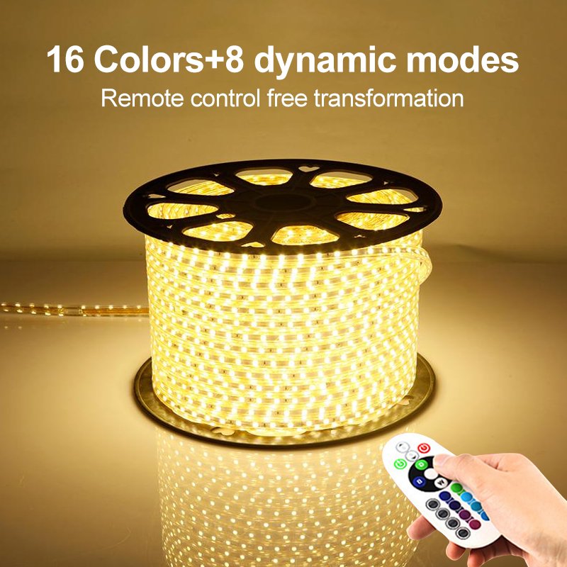 Wholesale110V 220V Color Rgbic Led 100M Roll Smd 5050 120D Decorative Strips Flexible Dmx Dimmable Smart Strip Lights