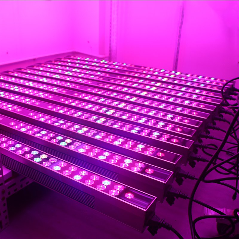 Dimmable Control Led Grow Light Strip Full Spectrum For Indoor Plants Led Grow Light luces led de cultivo