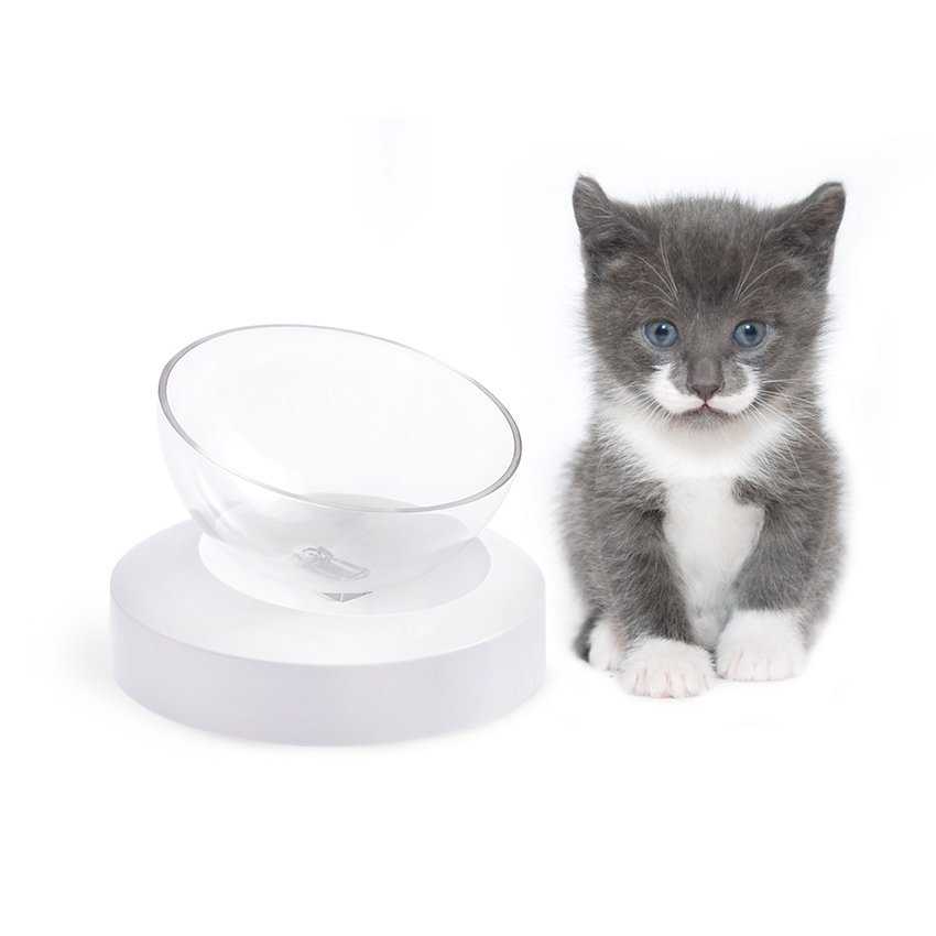 Professional smart pet products with high quality