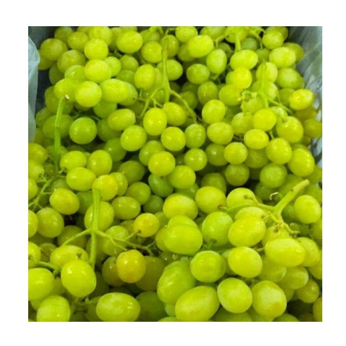 High Quality Season Grade Fruit Red Fresh Globe Garape Grape Fresh Sweet Egypt Crimson Seedless Shine Grapes For Sale