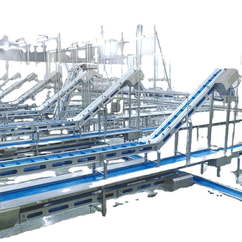 El Salvador Poultry Chicken Processing Plant Slaughtering Production Line For Slaughter House Machine Use