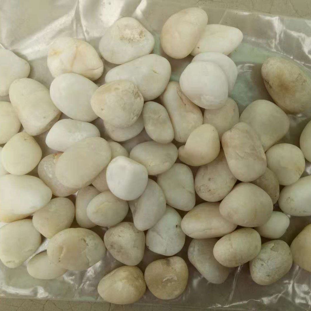 Factory Price Natural Small Stone Pebbles For Decoration