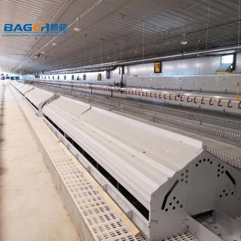 Poultry Farming Equipment Laying Automatic Chicken Laying Egg Nest Box Chicken Nesting Box