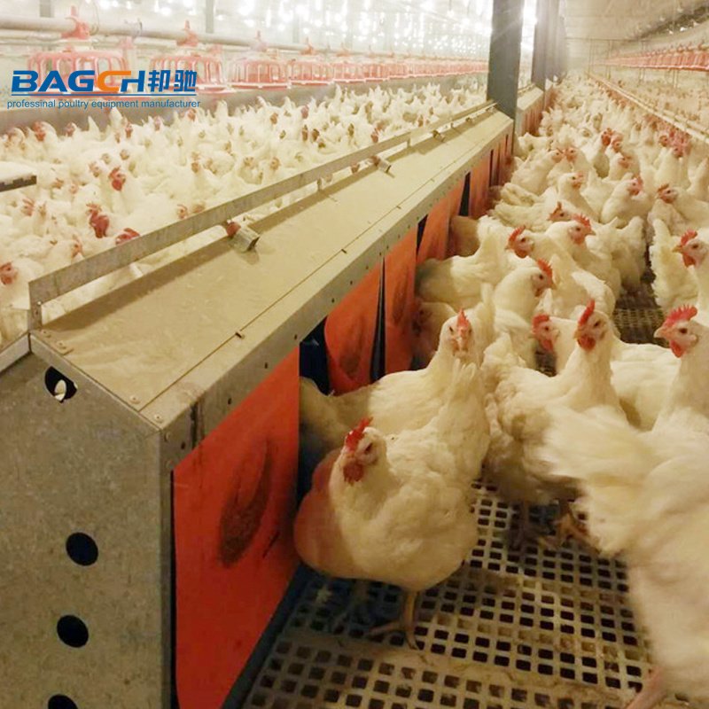 Poultry Farming Equipment Laying Automatic Chicken Laying Egg Nest Box Chicken Nesting Box