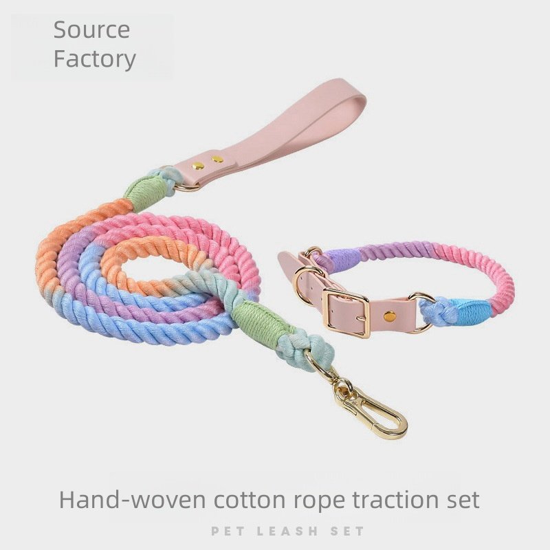 Wholesale Baikai Hand Woven Colorful Pet Leash Set leather Dog Collar BSCI Certification