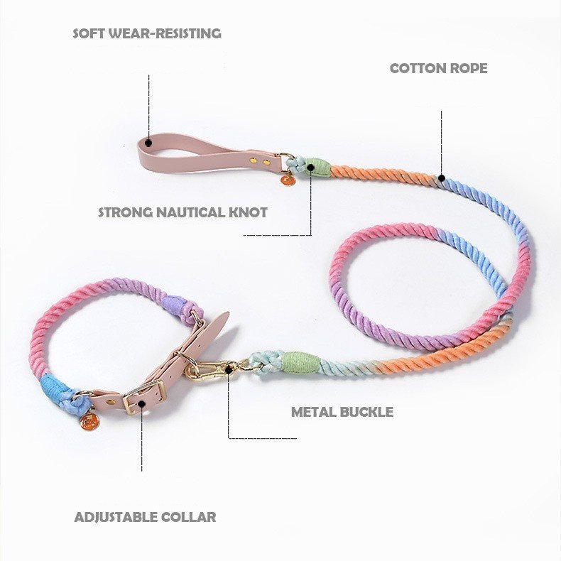 Wholesale Baikai Hand Woven Colorful Pet Leash Set leather Dog Collar BSCI Certification