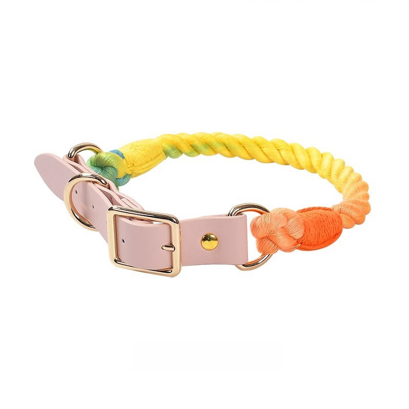 Wholesale Baikai Hand Woven Colorful Pet Leash Set leather Dog Collar BSCI Certification