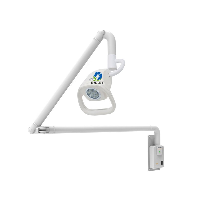 EUR PET Wholesale Anime Clinic Led Light High Quality Veterinary Equipment Ceiling Led Exam Light For Pet Hospital