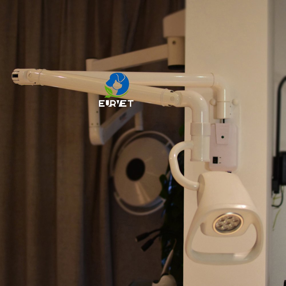 EUR PET Wholesale Anime Clinic Led Light High Quality Veterinary Equipment Ceiling Led Exam Light For Pet Hospital