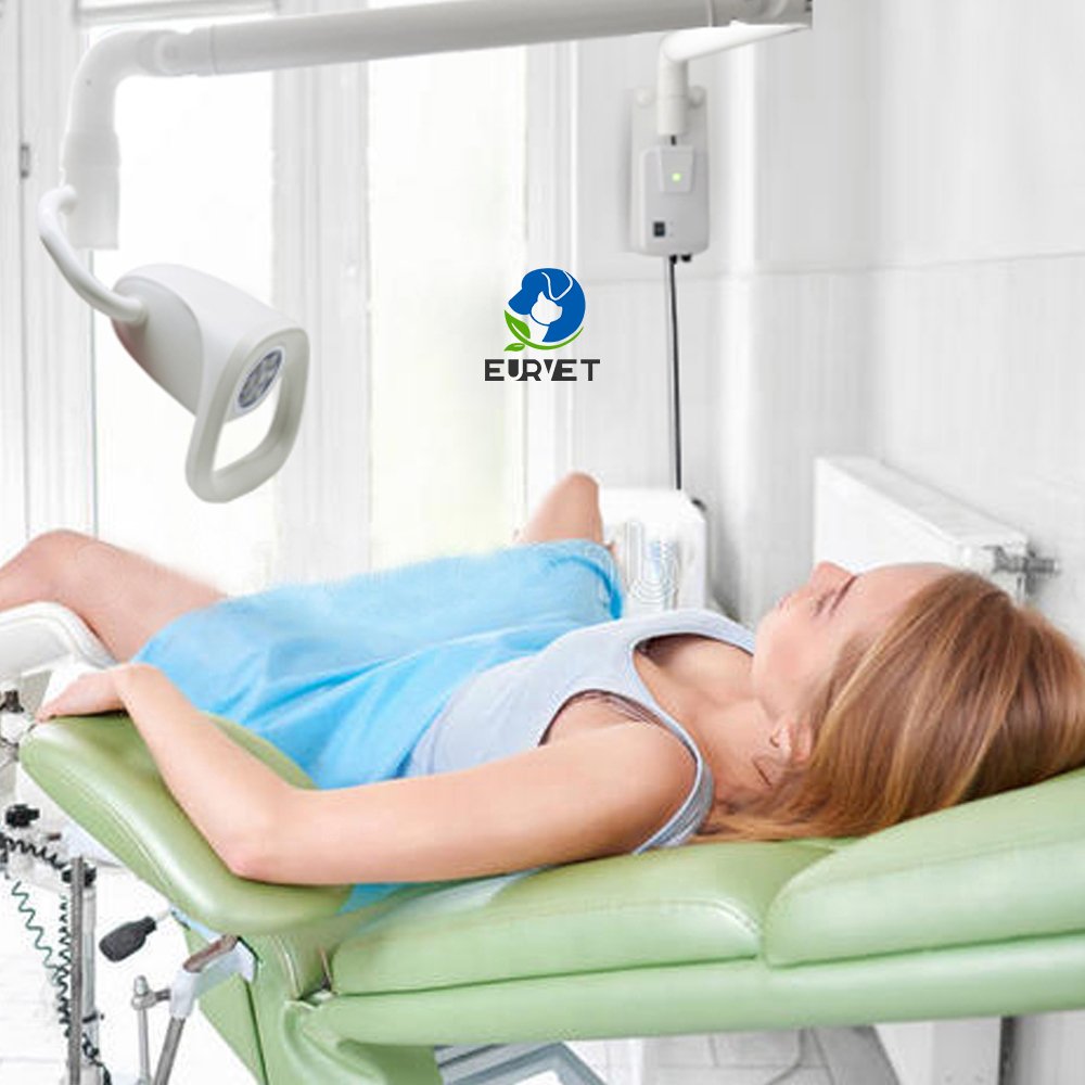 EUR PET Wholesale Anime Clinic Led Light High Quality Veterinary Equipment Ceiling Led Exam Light For Pet Hospital