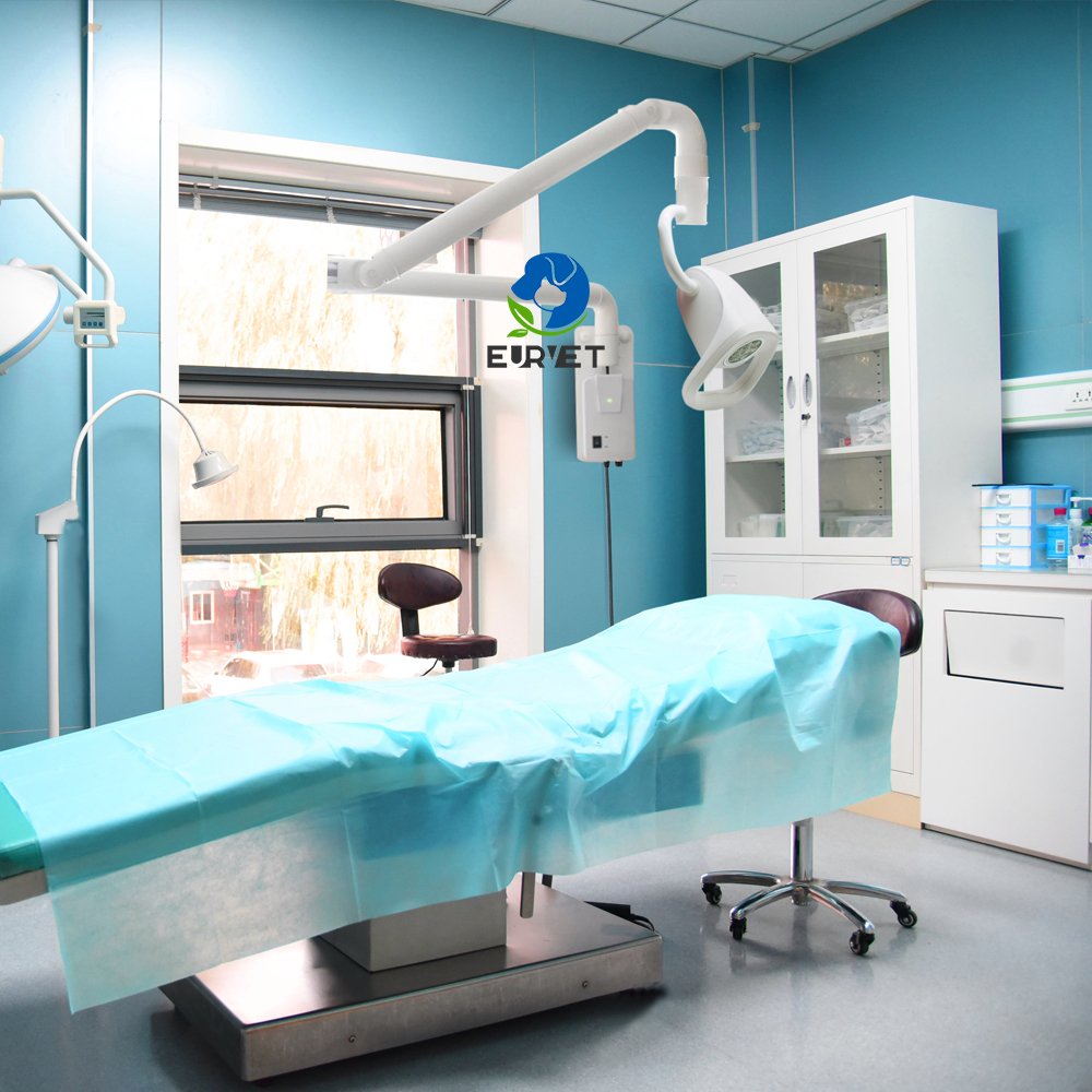 EUR PET Wholesale Anime Clinic Led Light High Quality Veterinary Equipment Ceiling Led Exam Light For Pet Hospital