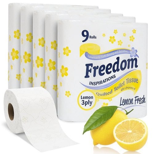 BEST PRICE TISSUES Toilet Paper 2 Ply Soft Toilet Tissue Rolls Wholesale From France