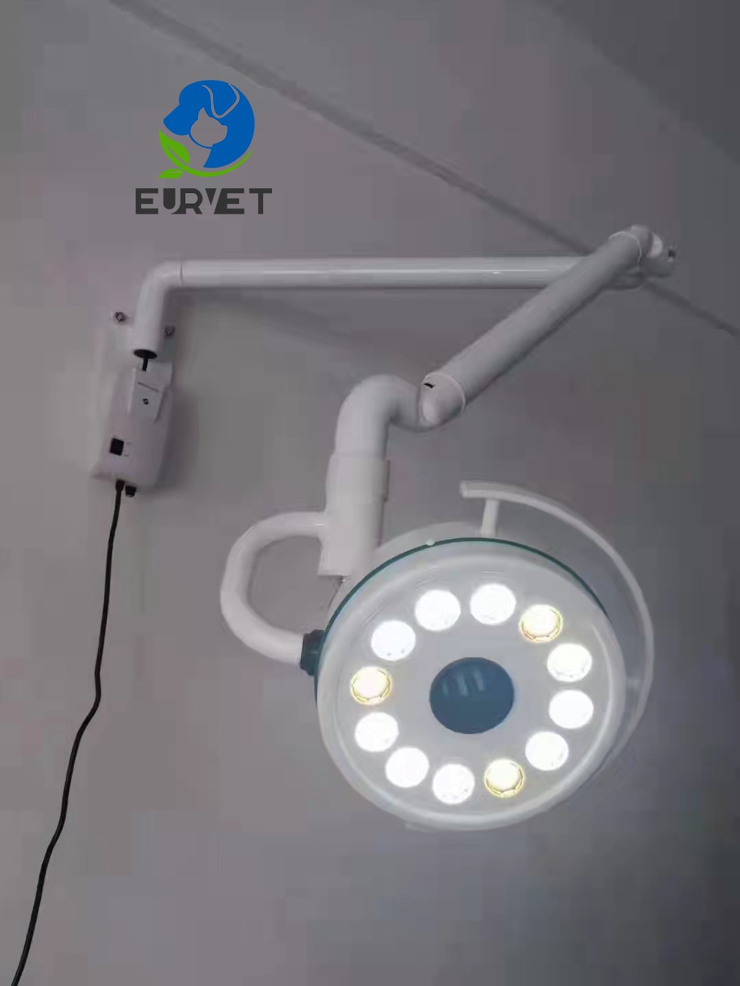EUR PET Excellent Veterinary Surgical Lights Practical Veterinary Equipment Clinic Examination Lamp For Pet Health Care