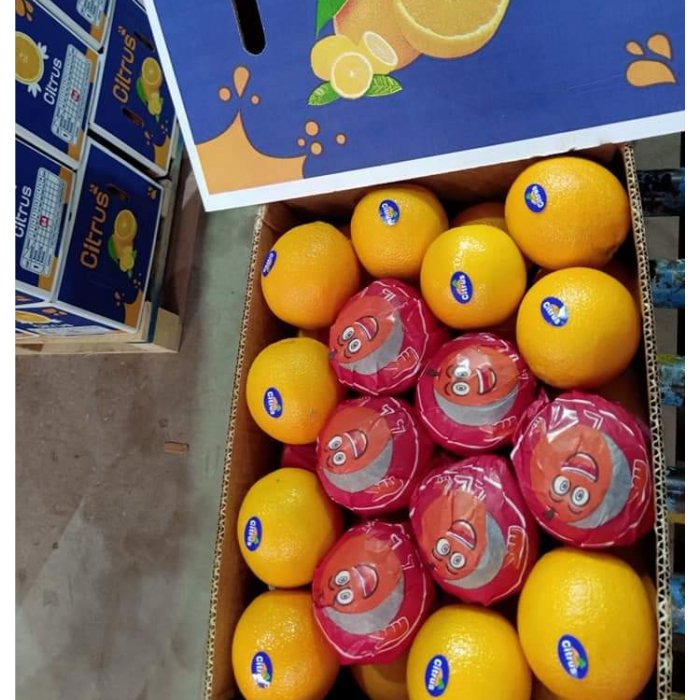 2022 Best Selling And High Premium Fresh Valencia Oranges Fresh 100% Natural Pure Healthy Valencia Orange From Egypt For Sale