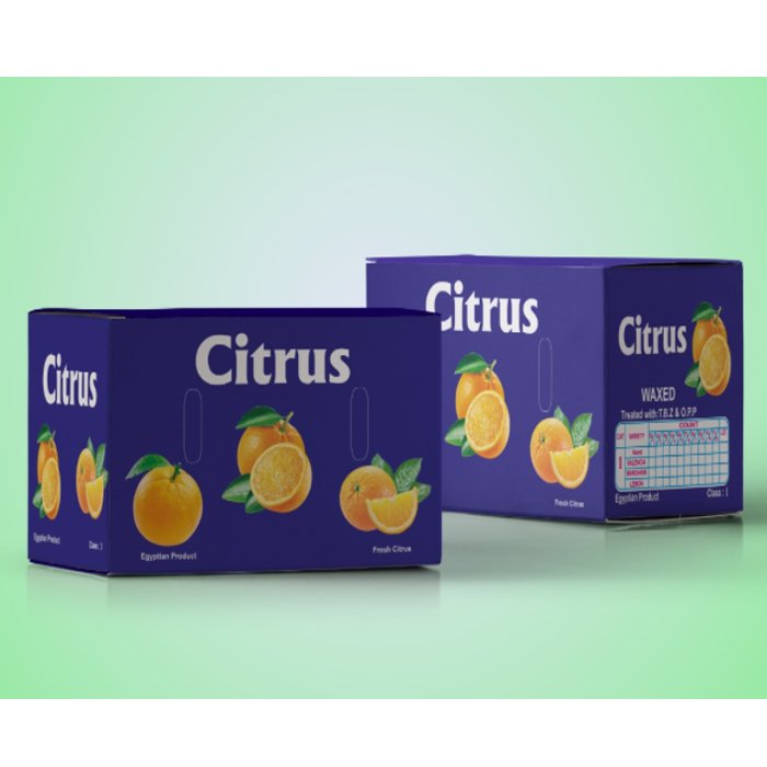 2022 Best Selling And High Premium Fresh Valencia Oranges Fresh 100% Natural Pure Healthy Valencia Orange From Egypt For Sale