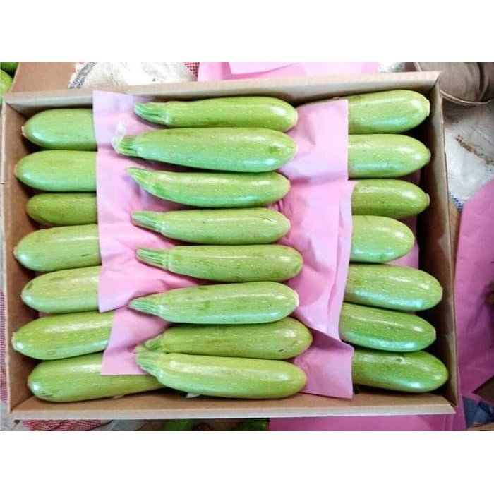 High Quality 100% Natural Product Food Fresh Grade Green Cucumber Wonderful Delicious Vegetable For Export From Egypt