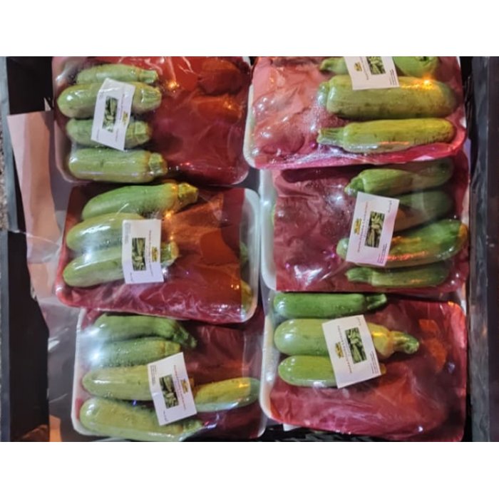 High Quality 100% Natural Product Food Fresh Grade Green Cucumber Wonderful Delicious Vegetable For Export From Egypt