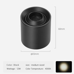 12W-Black-4000K