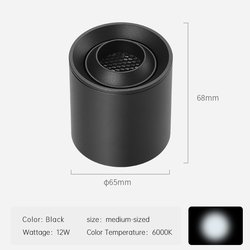 12W-Black-6000K