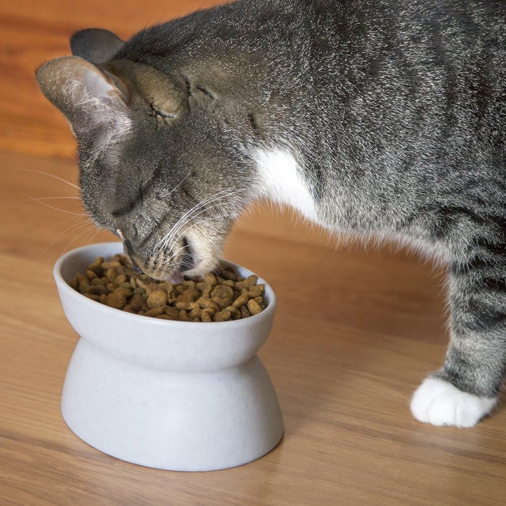 Wholesale Pet Bowls Raised Cat Food Bowl Collection Stress Free Pet Feeder Water Does Not Overflow Pet Accessories Products