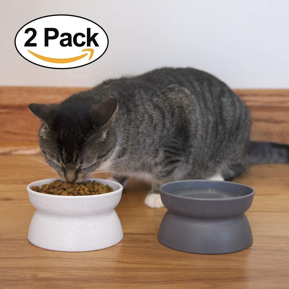 Wholesale Pet Bowls Raised Cat Food Bowl Collection Stress Free Pet Feeder Water Does Not Overflow Pet Accessories Products