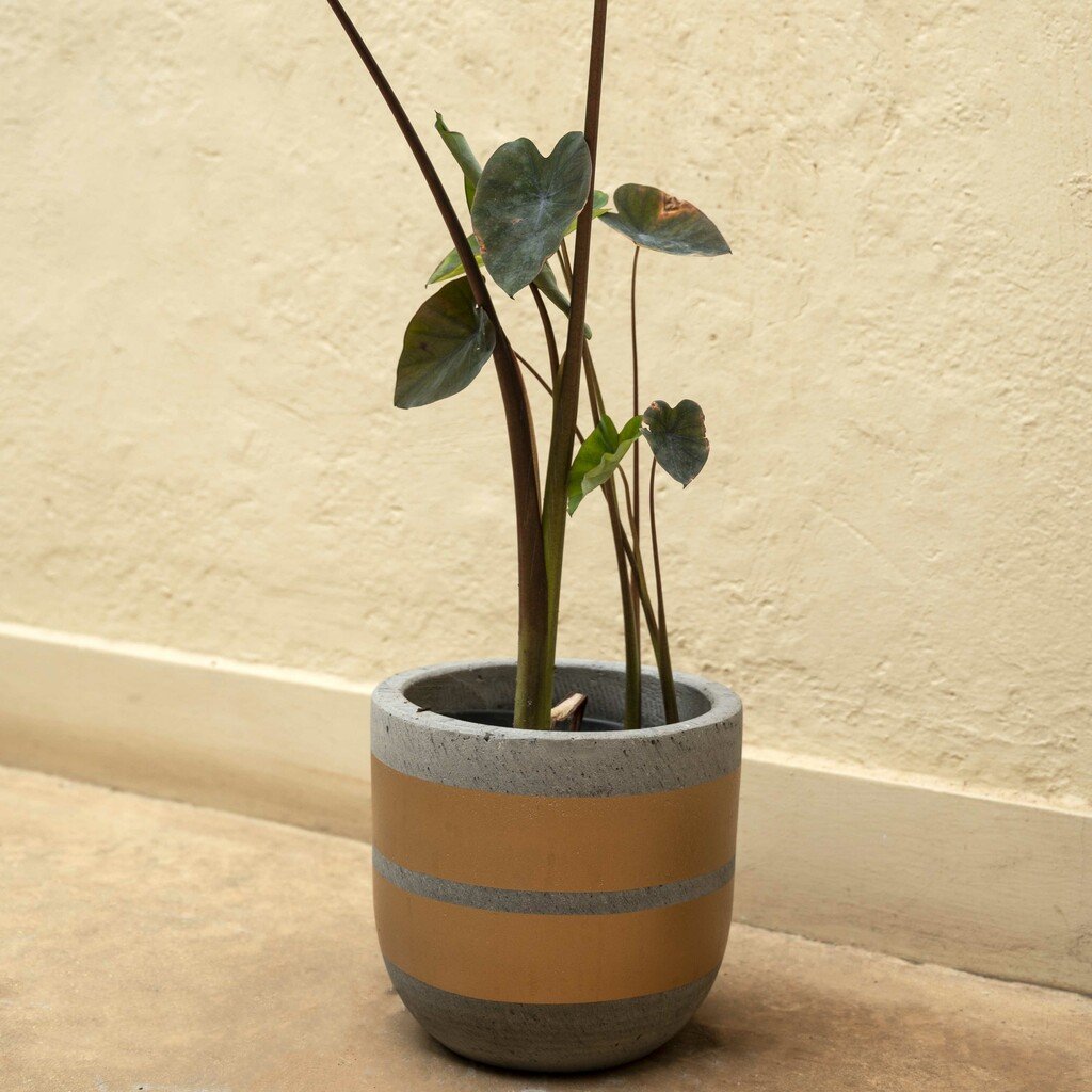 New design articulos decorativos para el hogar jarrones tall big planter jardineras y macetas flower pots
