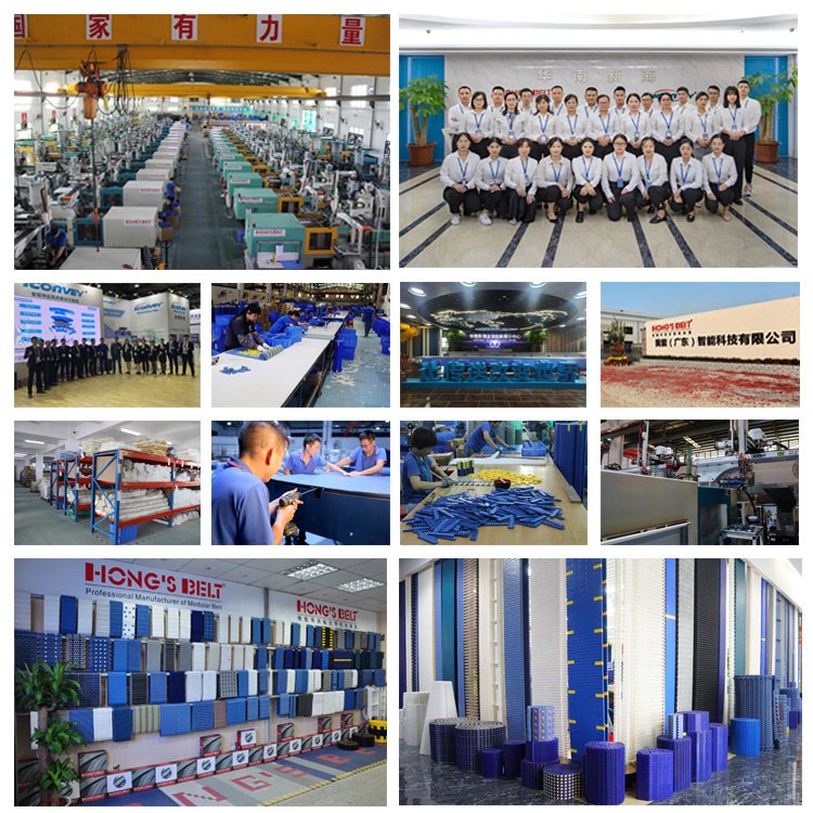 Hongsbelt HS-300B-HD-EL Factory Wholesale toy industry conveyor belt modular plastic for toy