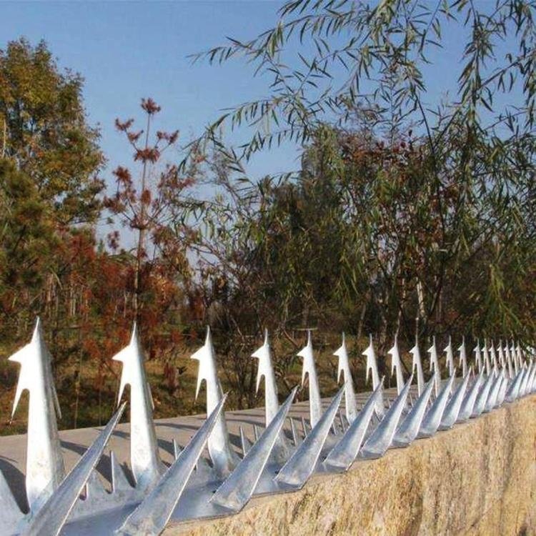 Security Wall Spikes Metal Fence Spikes Anti Climb Wall Rooftop Razor Spikes