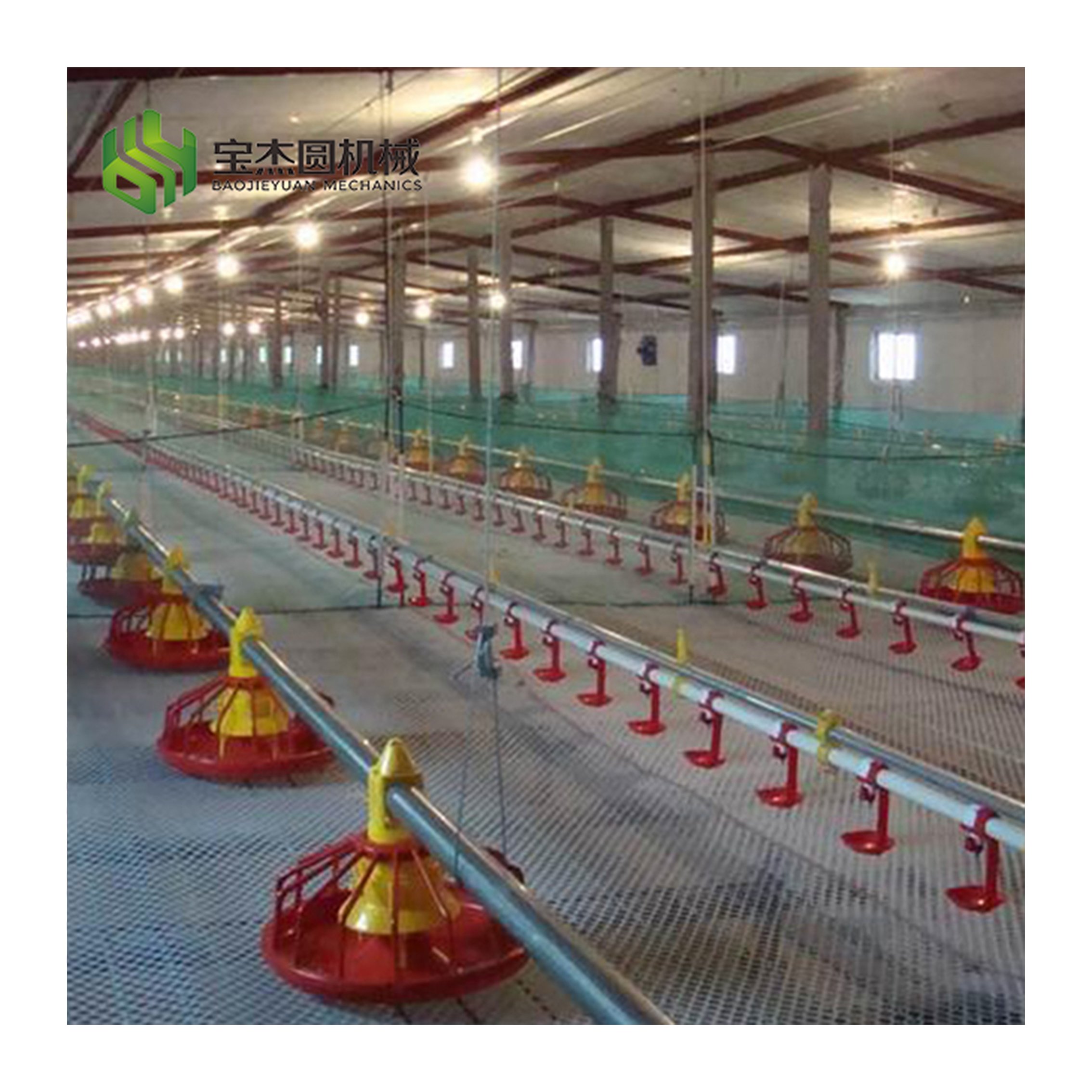 Automatic Chicken Feeder and Drinker for Aviculture Farm and Poultry Barn in El Salvador for Granja Avicol