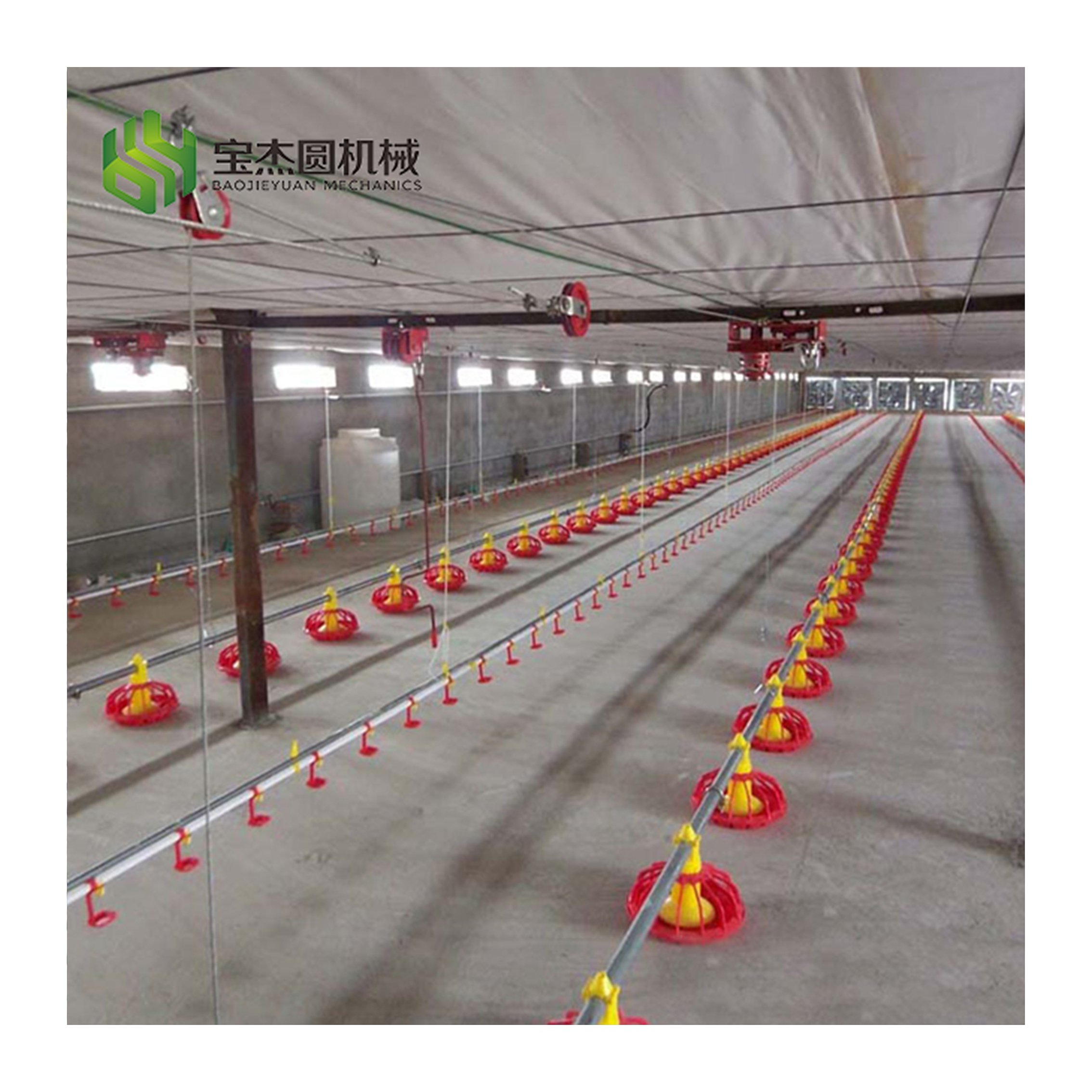Automatic Chicken Feeder and Drinker for Aviculture Farm and Poultry Barn in El Salvador for Granja Avicol