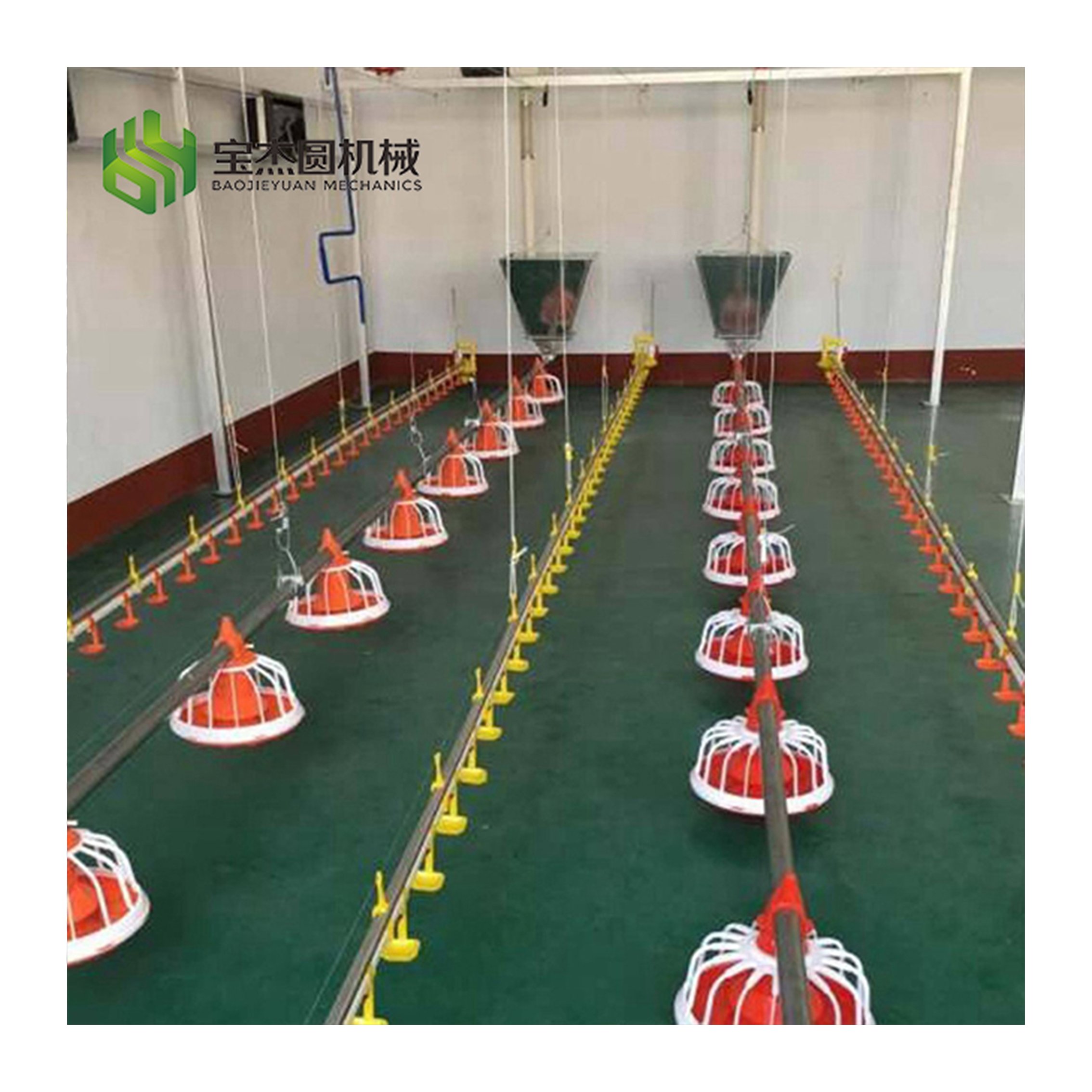 Automatic Chicken Feeder and Drinker for Aviculture Farm and Poultry Barn in El Salvador for Granja Avicol