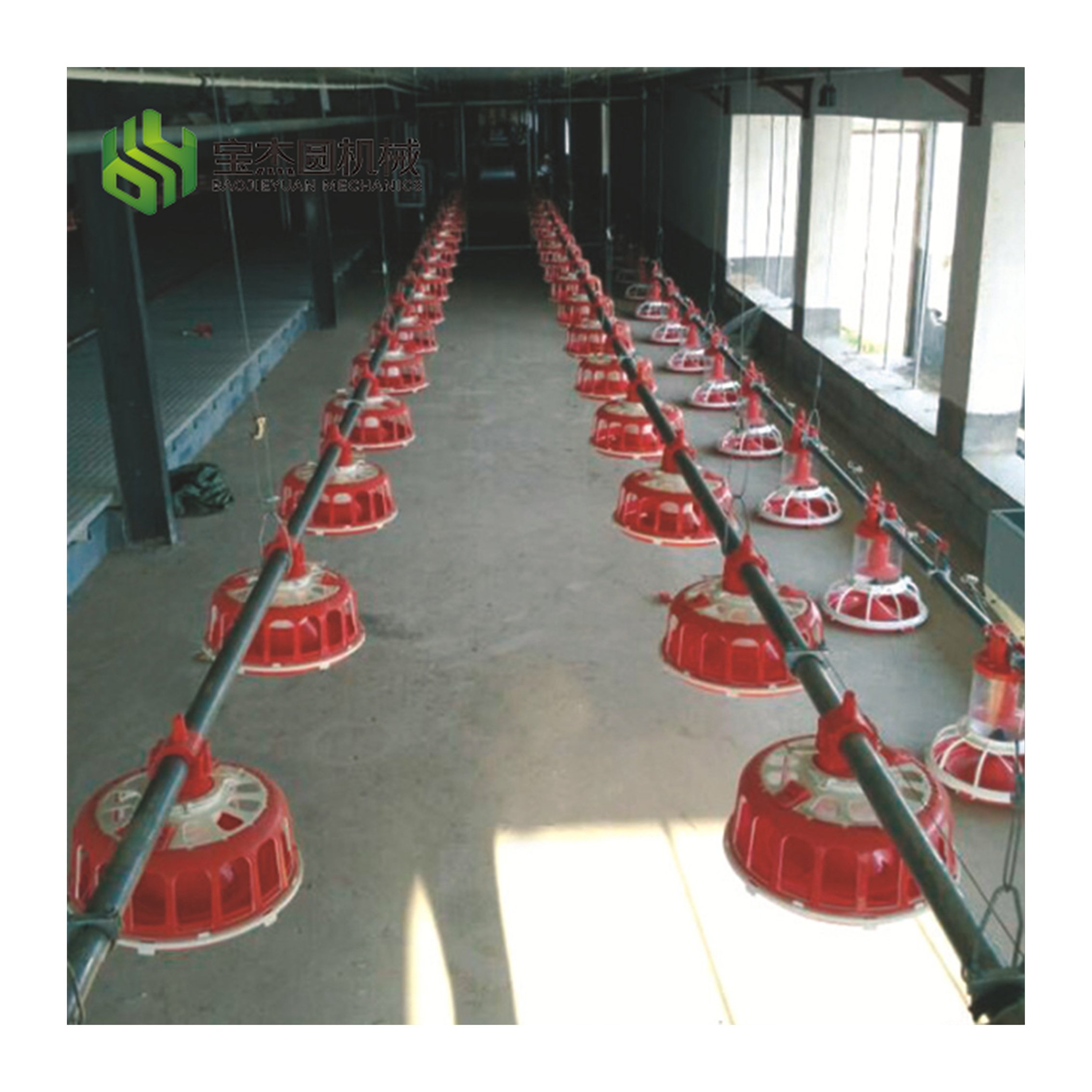 Automatic Chicken Feeder and Drinker for Aviculture Farm and Poultry Barn in El Salvador for Granja Avicol