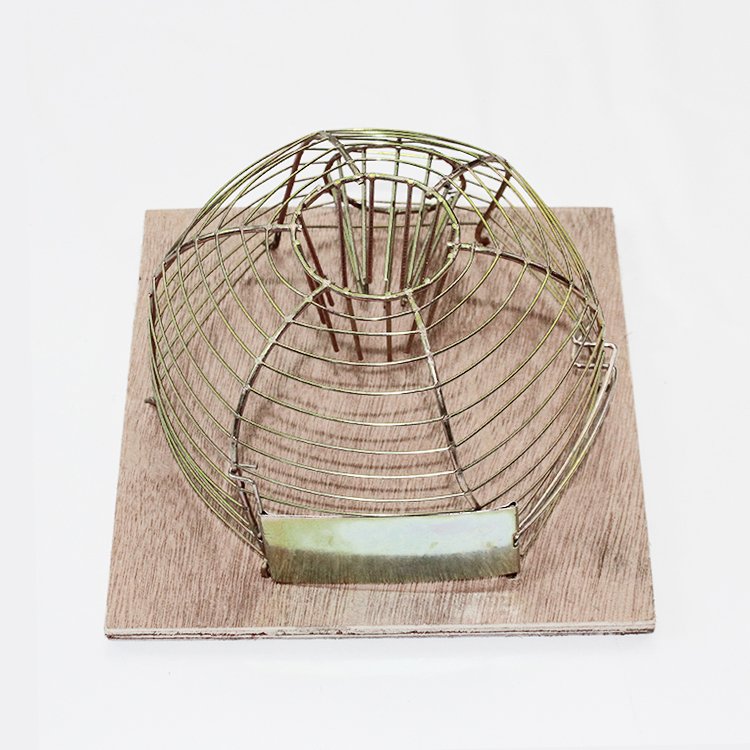 Large Outdoor Walk-Through Cat and Rat Trap Cage Live Animal Pest Control with High Efficiency