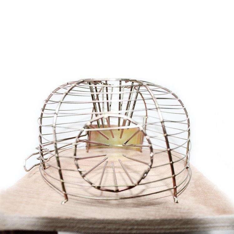 Large Outdoor Walk-Through Cat and Rat Trap Cage Live Animal Pest Control with High Efficiency