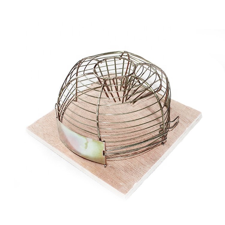 Large Outdoor Walk-Through Cat and Rat Trap Cage Live Animal Pest Control with High Efficiency