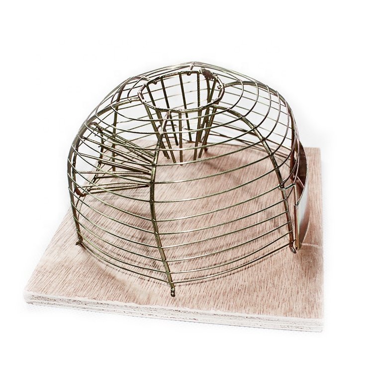 Large Outdoor Walk-Through Cat and Rat Trap Cage Live Animal Pest Control with High Efficiency