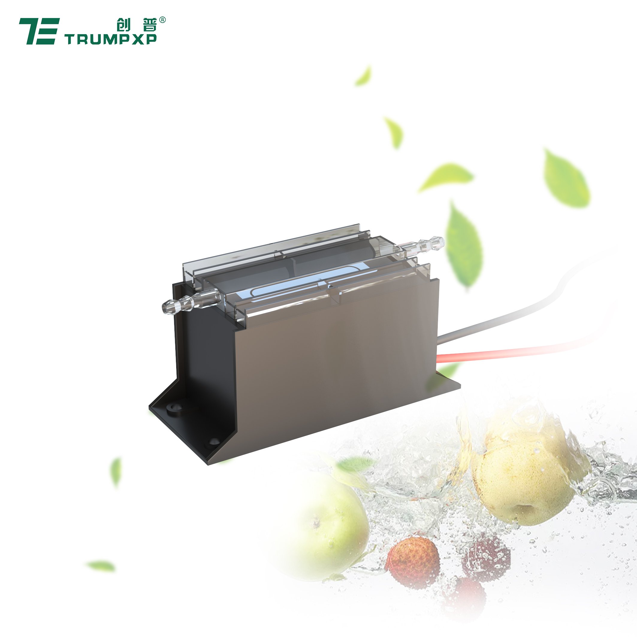 TRUMPXP TCB-56 DC 24v mini ozone generator water ozonator for washing machine vegetables and fruits