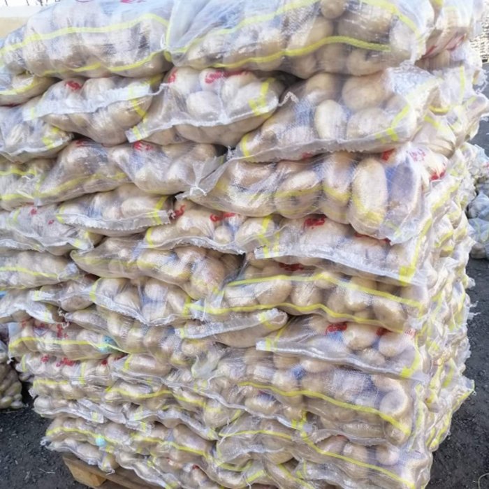 Best Selling And High Quality 100% Natural Product Egyptian Fresh Potatoes Spunta Very Delicious For Export From Egypt
