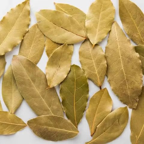 Premium Grade Natural Dried Bay Leaves Egypt Origin Raw Processing Agriculture Laurel Leaves Herbal Product Dried Vegetables