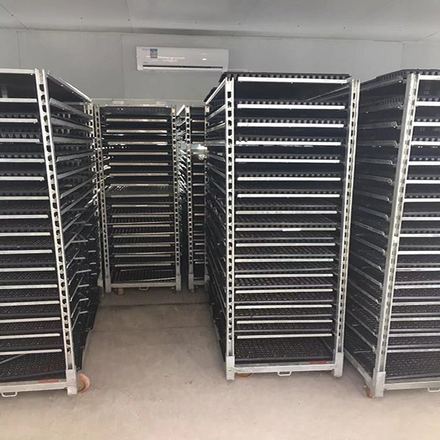 greenhouse garden center plant storage trolley pull cart for transport flowers