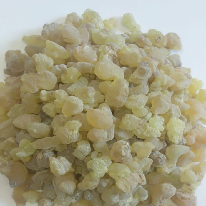 2022 New Product Wholesale Custom High Quality High Nutritious Low Price White Or Yellow Arabian Gum For Sale From Egypt