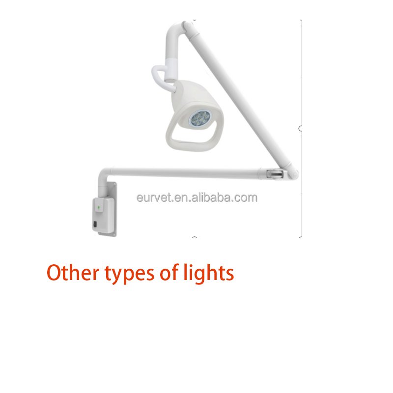 EUR PET Medical Operating Light Ceiling-mounted Shadowless Veterinary Instrument LED Examination Light