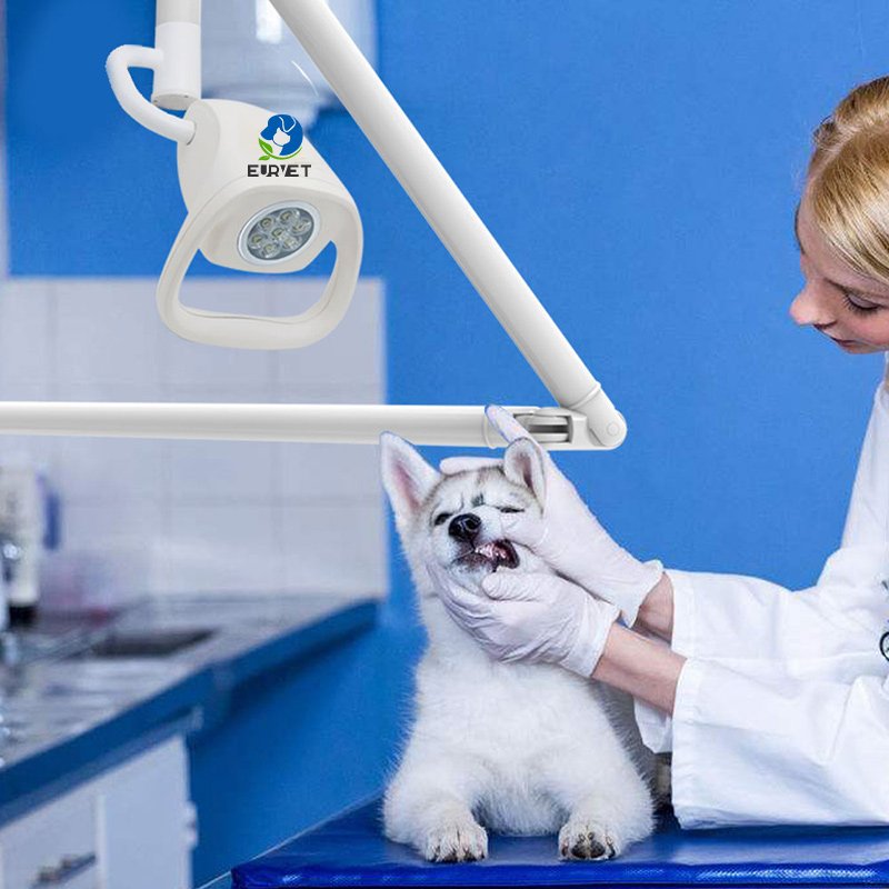 EUR PET Medical Operating Light Ceiling-mounted Shadowless Veterinary Instrument LED Examination Light