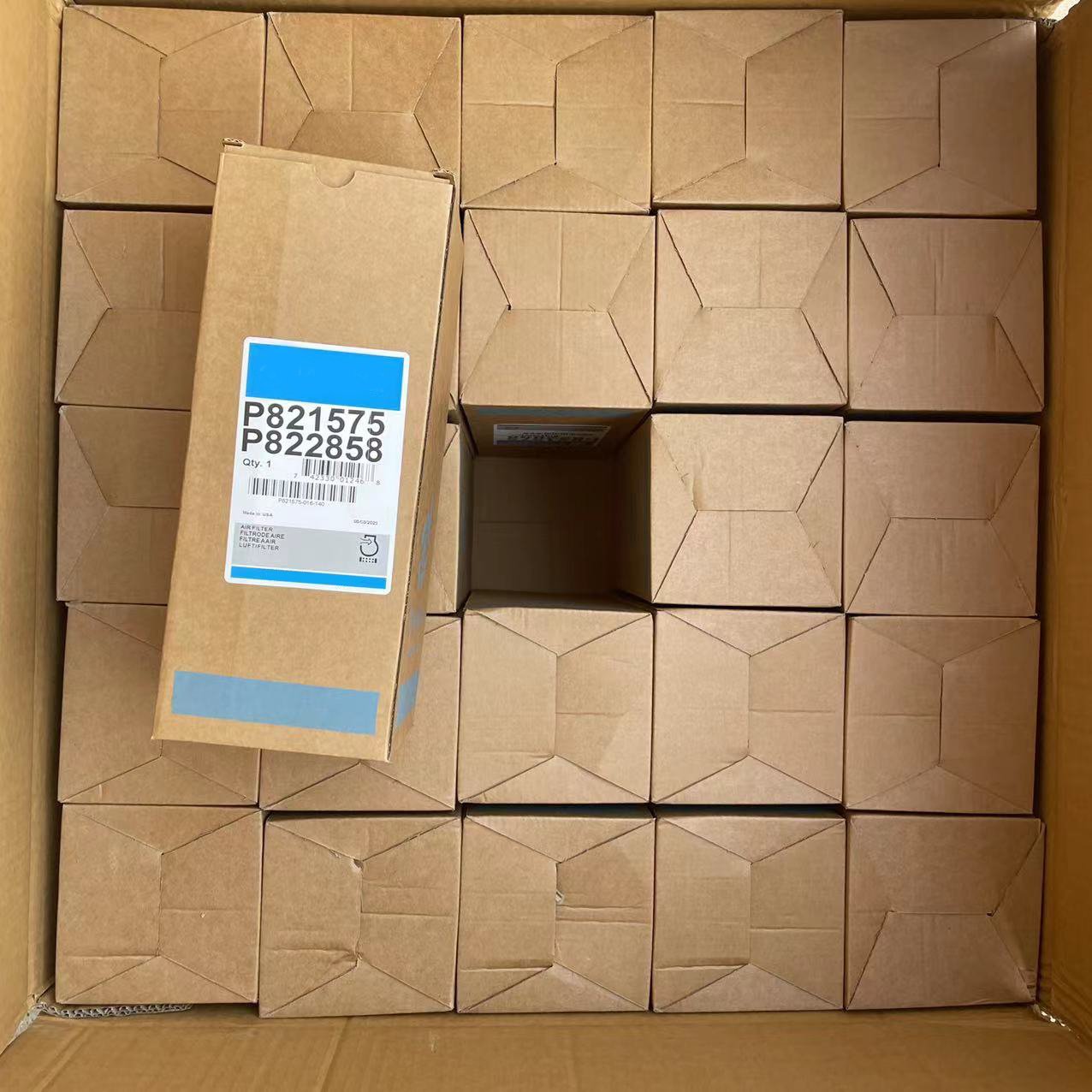 Car Air Filter P821575 Truck Air Filter OEM Car Filter P821575 P822858 High Quality Products