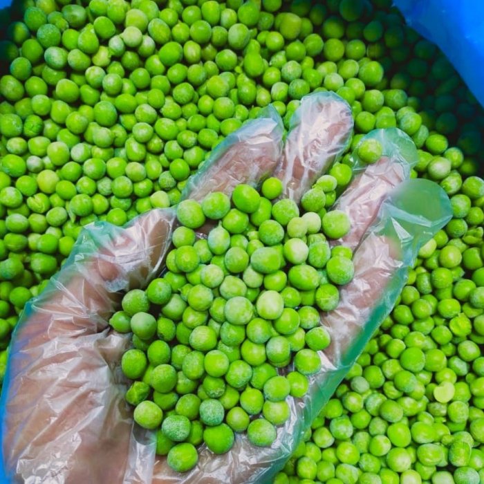 Best Selling And High Quality New Season Of Fresh Wonderful Delicious Frozen Green Peas Vegetable For Export From Egypt
