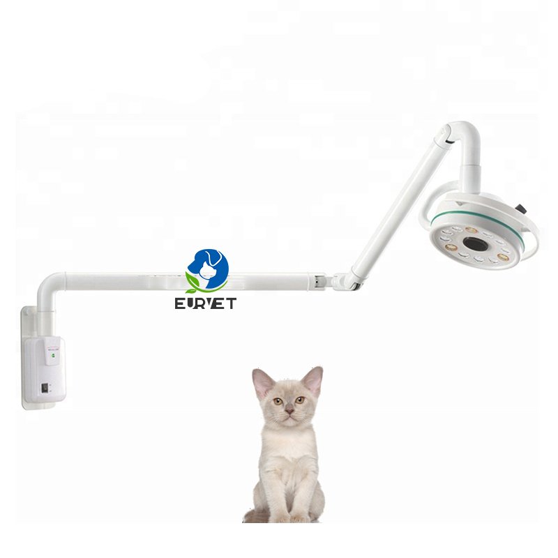 EUR VET Veterinary Medical LED Examination Lamp Mobile Stand Minor Surgical Veterinary Clinic Use Light