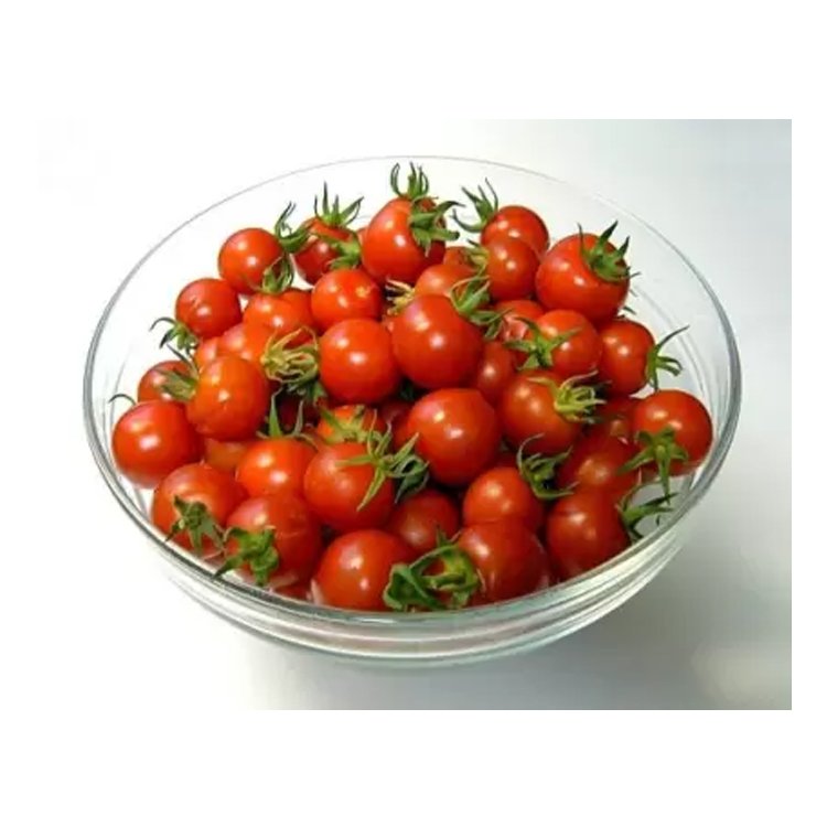 Top Selling Food Grade Product Fresh Tomato Red Cherry Style Fresh Cherry Tomatoes from Trusted Supplier