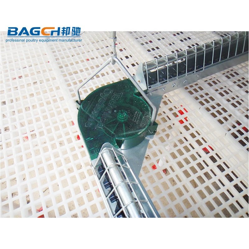 Hot sale egg laying nest box chicken nesting box egg collecting system