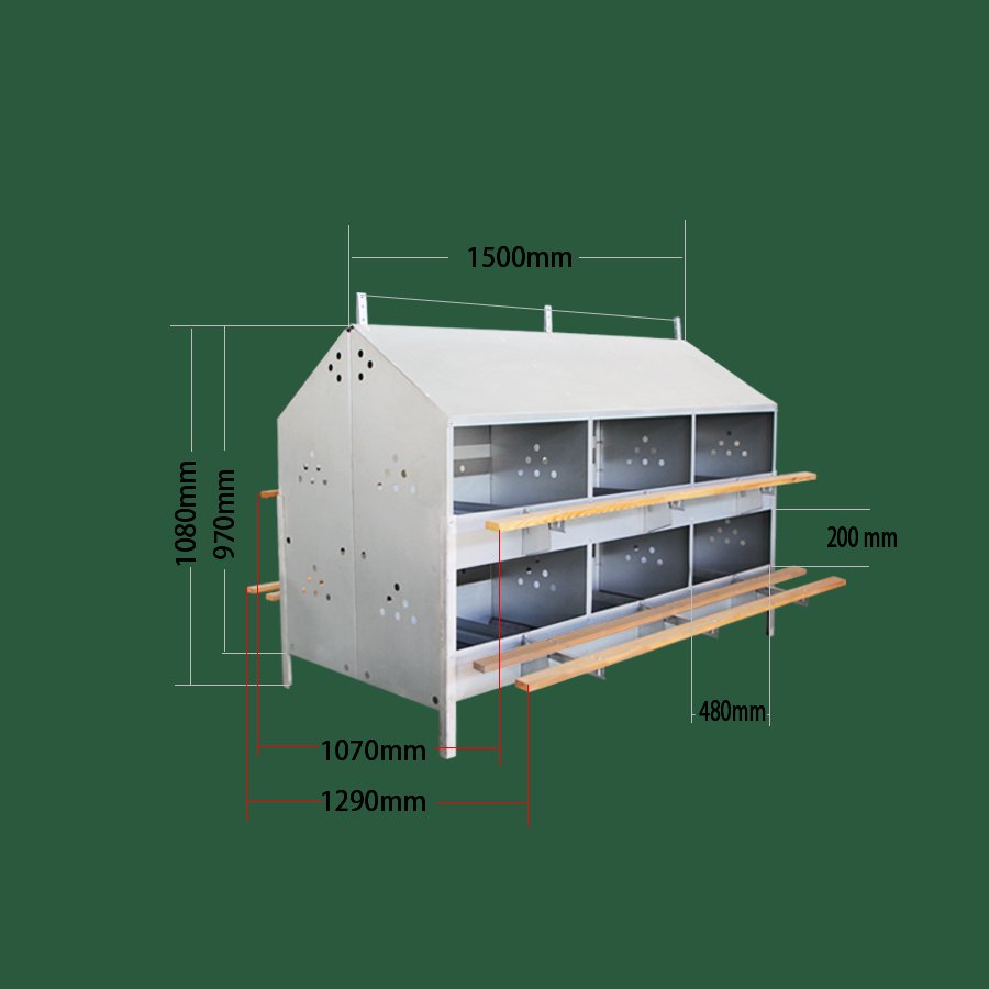 Hot sale egg laying nest box chicken nesting box egg collecting system